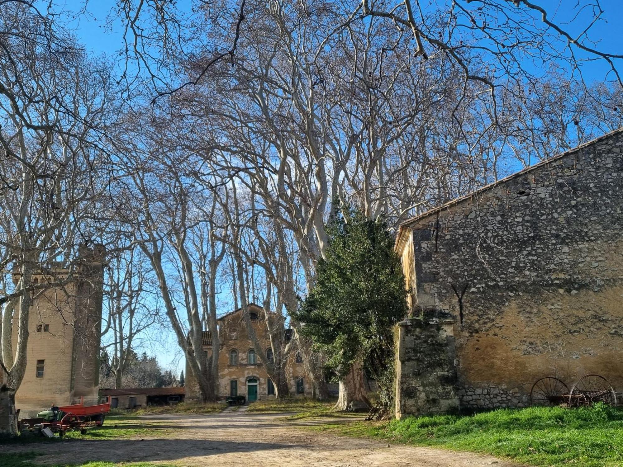 Les Garrigues De La Vallee Des Baux Paradou Exterior foto
