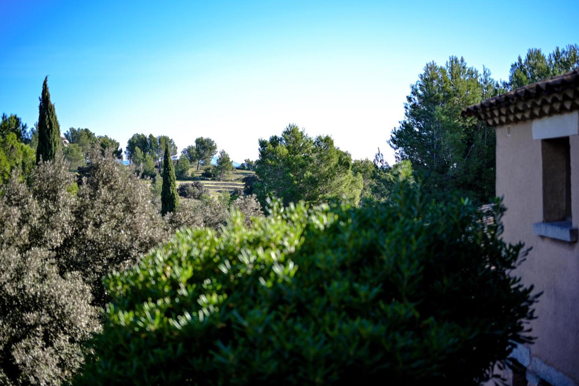 Les Garrigues De La Vallee Des Baux Paradou Exterior foto